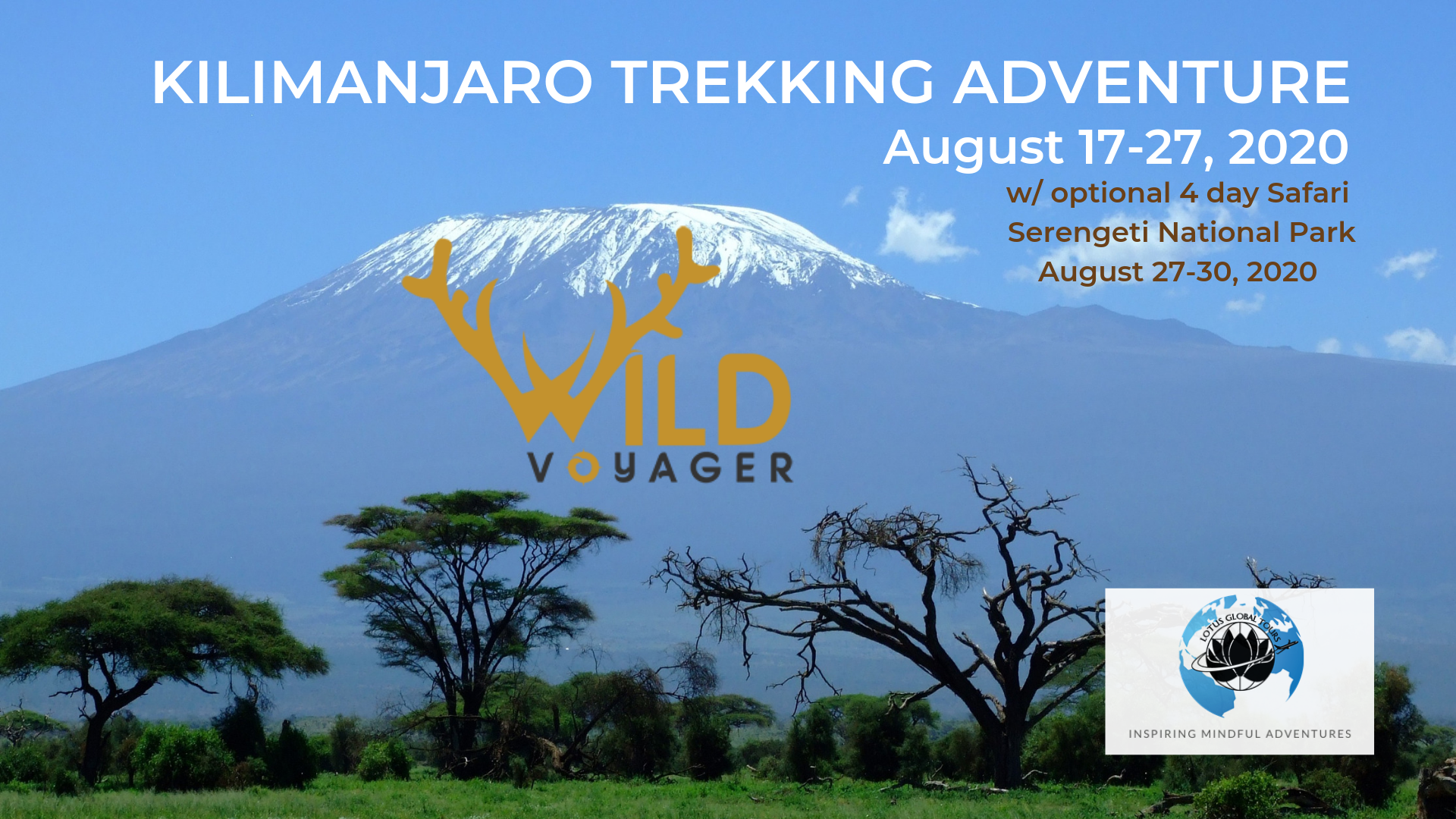 Kilimanjaro Trekking Adventure